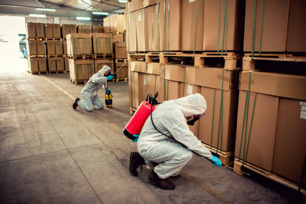 Best Wasp Removal Services  in Highland, UT
