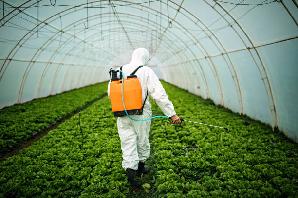 Best Pest Control for Businesses  in Highland, UT