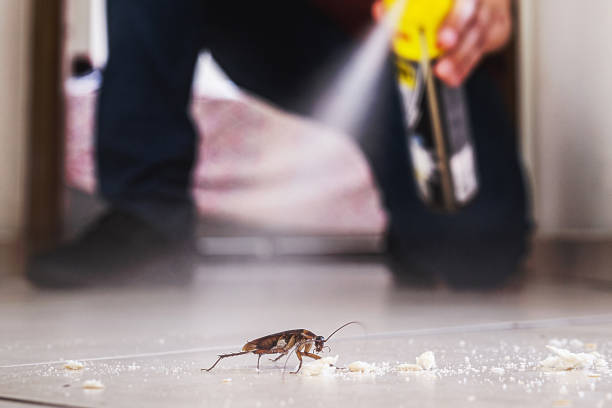 Best Residential Pest Control  in Highland, UT