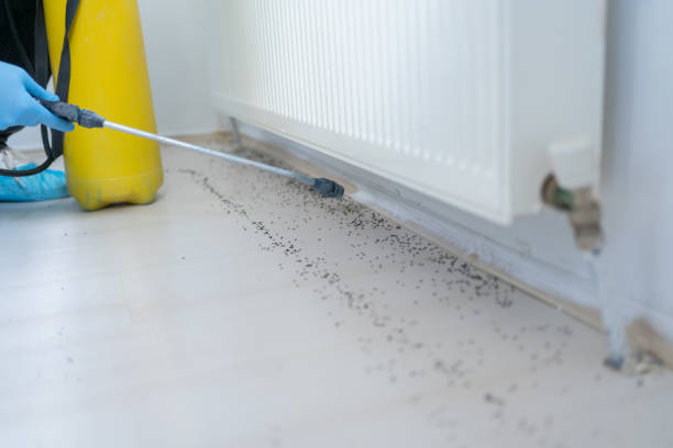 Best Insect Control  in Highland, UT