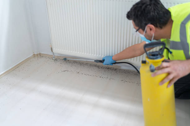Professional Pest Control in Highland, UT